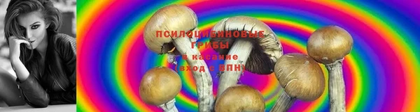прущий лед Лихославль